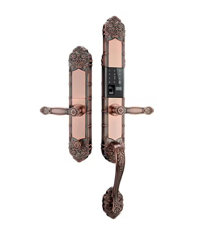 [DL-119] Luxury Door Lock